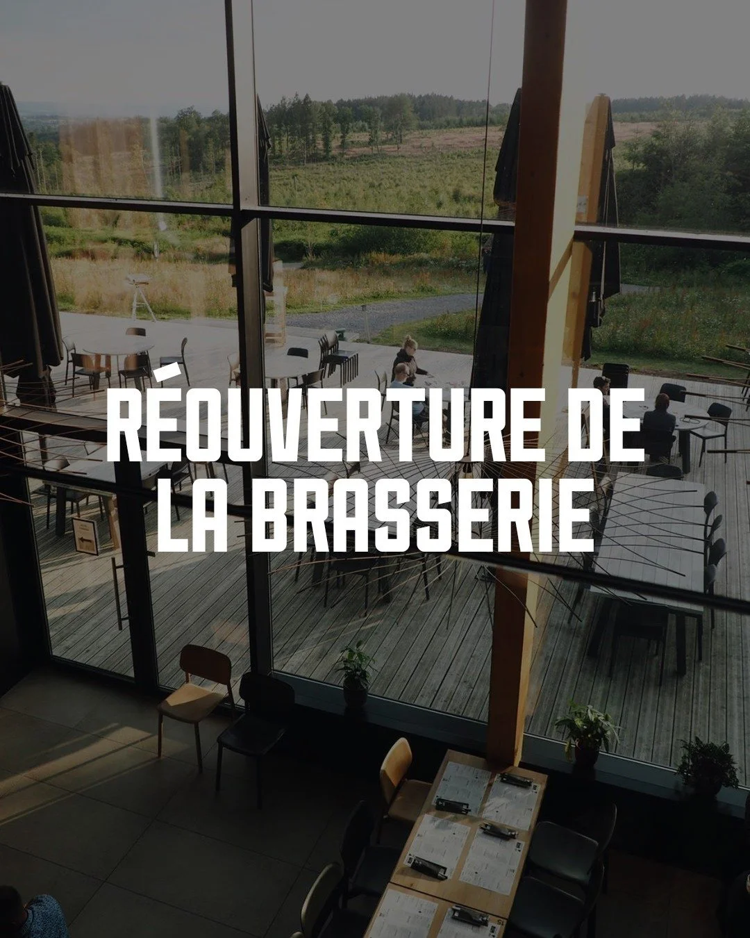 ON ROUVRE ! 🍻

Apr&egrave;s quelques jours de fermeture en raison des incendies dans les Hautes Fagnes, la brasserie vous accueille &agrave; nouveau d&egrave;s lundi 24/08 💚

C&ocirc;t&eacute; balades, certaines restent malheureusement impraticable