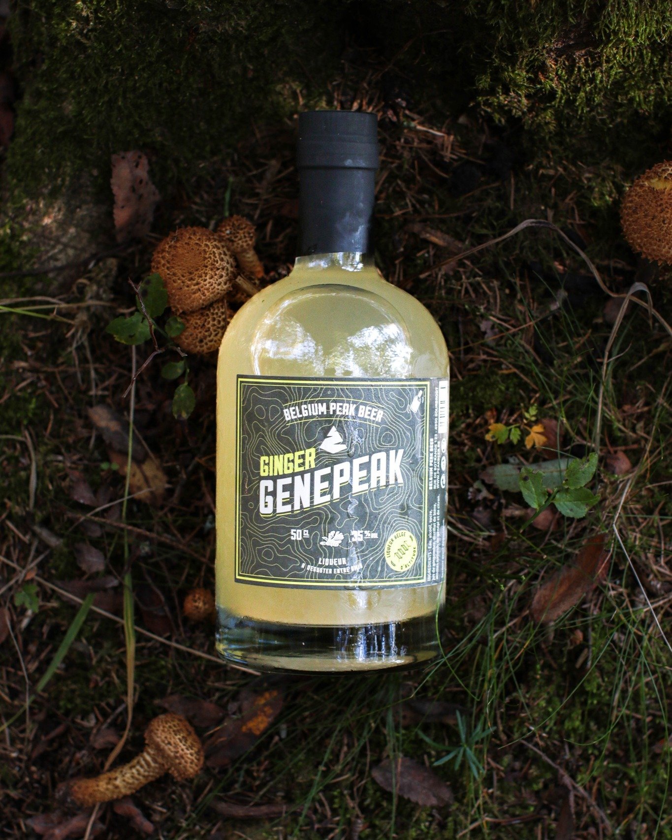 Une touche de gingembre pour r&eacute;chauffer la saison 🍁🍂
Notre Genepeak Ginger se fond dans les couleurs de l&rsquo;automne ! 🧡