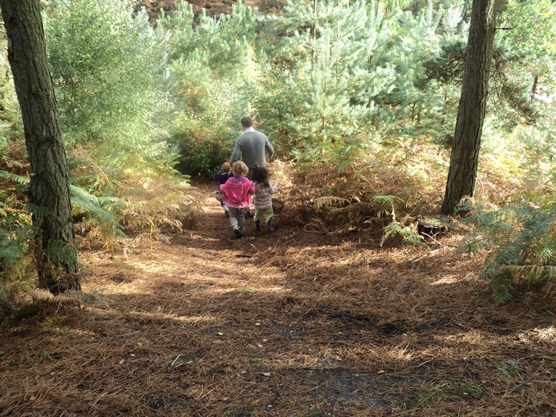 Attachment-1 (1).jpeg