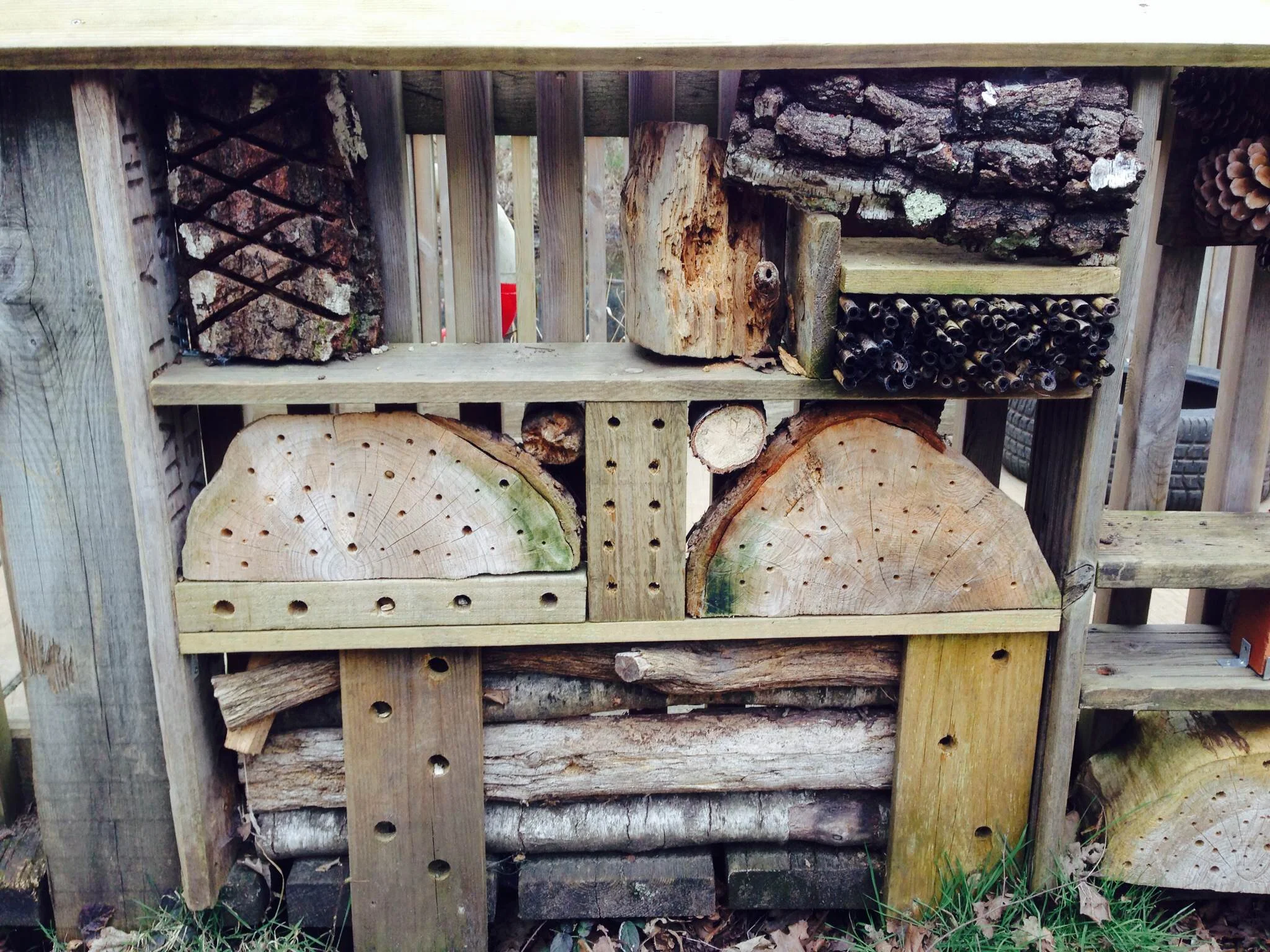 Bug hotel 1.JPG