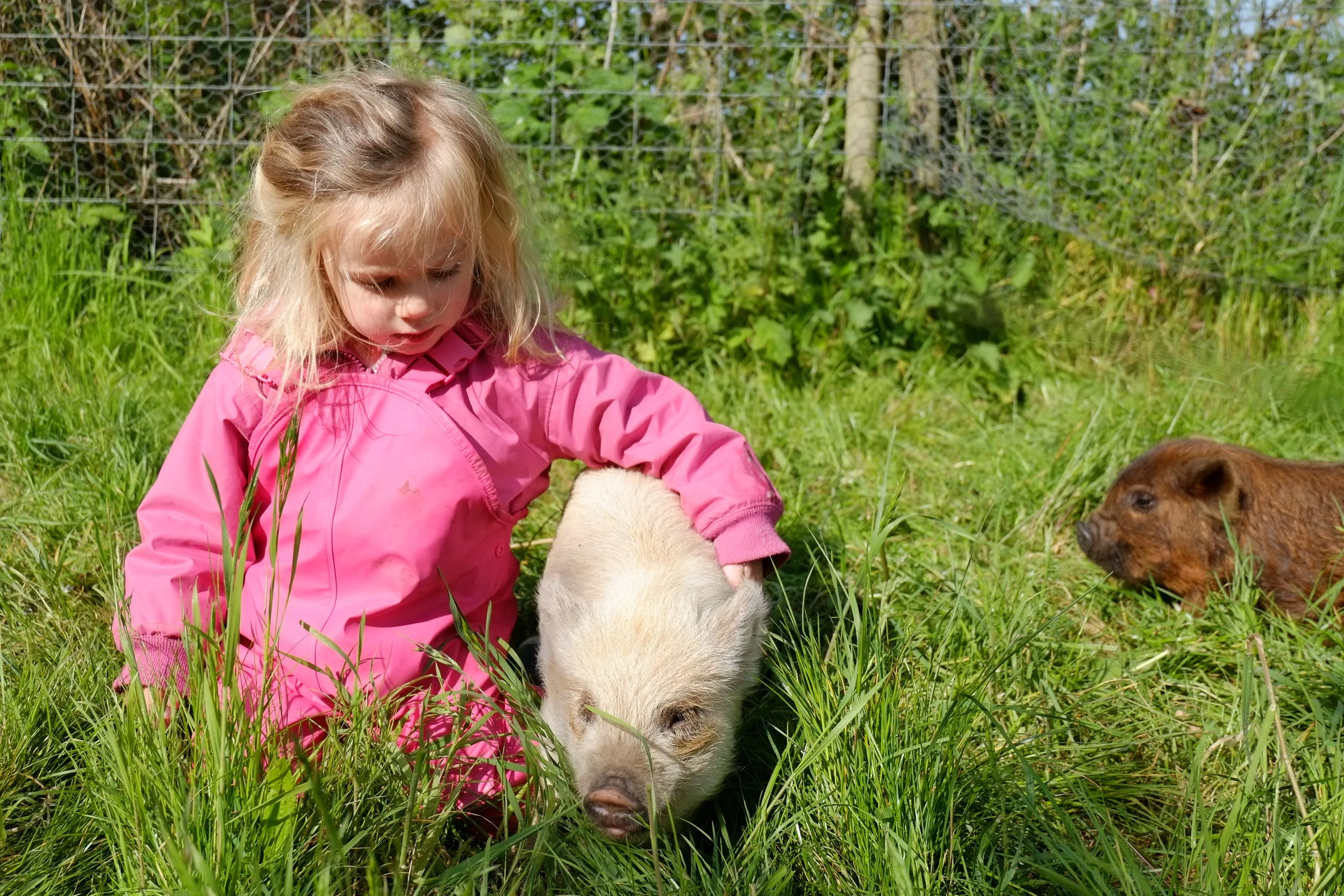 Attending a Kids Love Nature open day