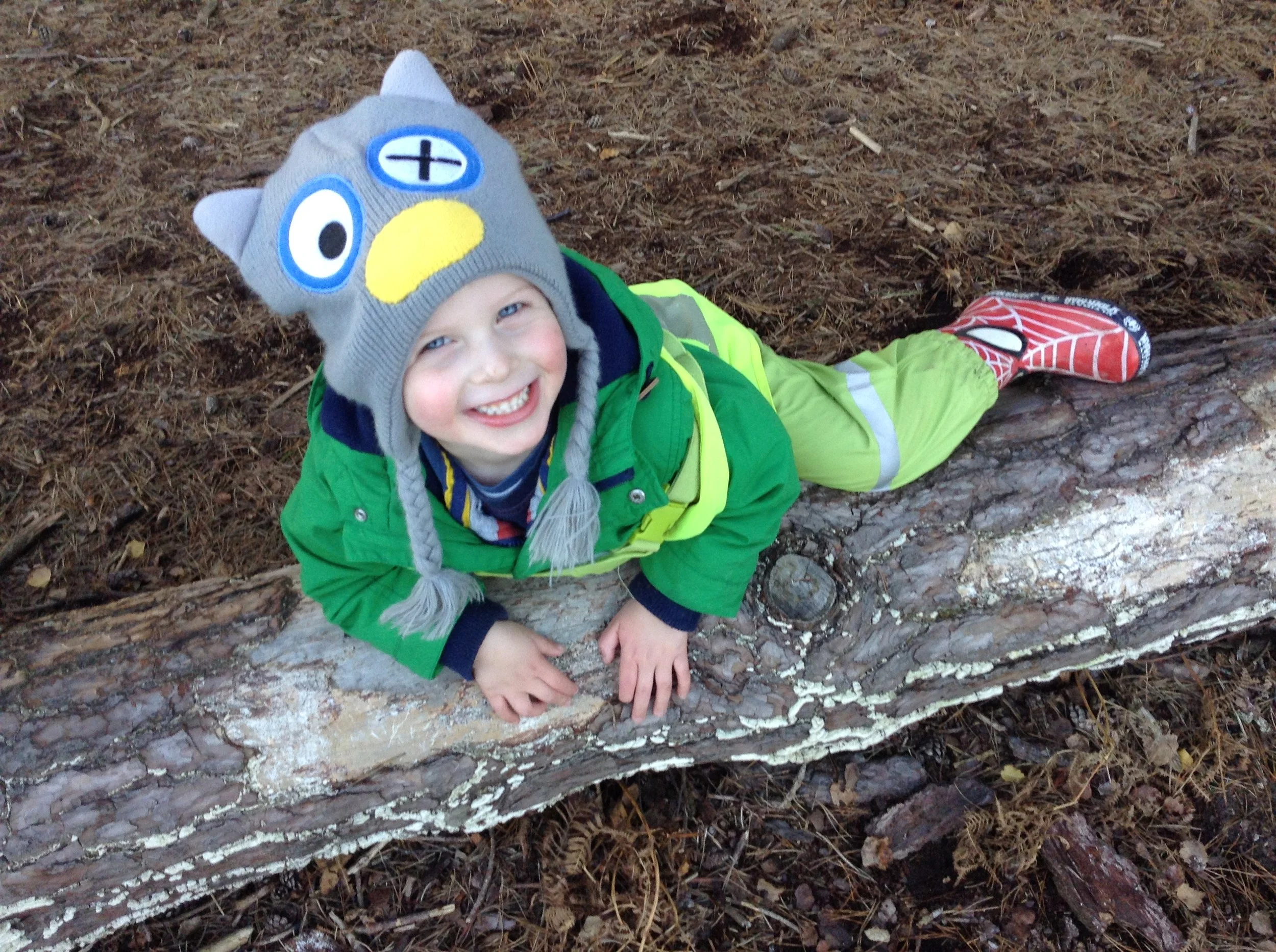 Everything you need to know about our nursery in Ringwood  