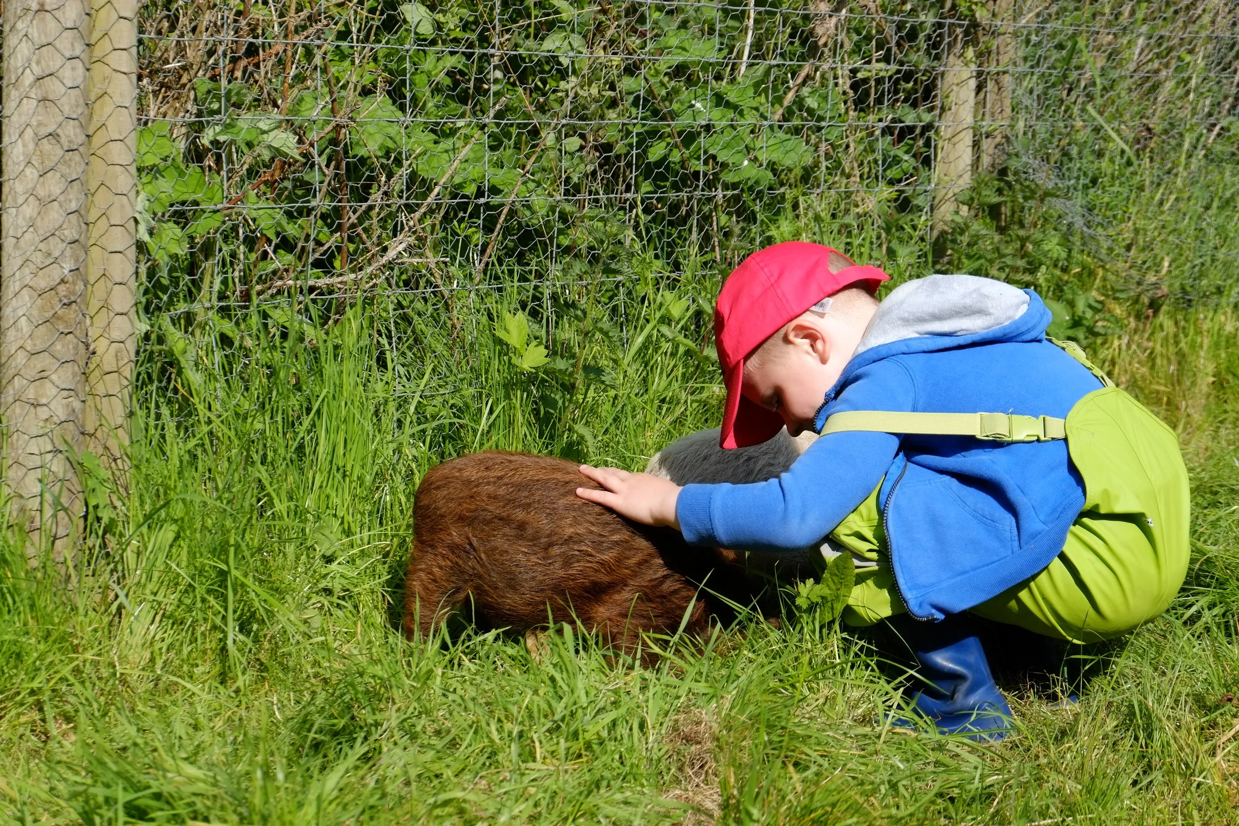 The Kids Love Nature approach… why your child will benefit from choosing one of our outdoor nurseries in 2019