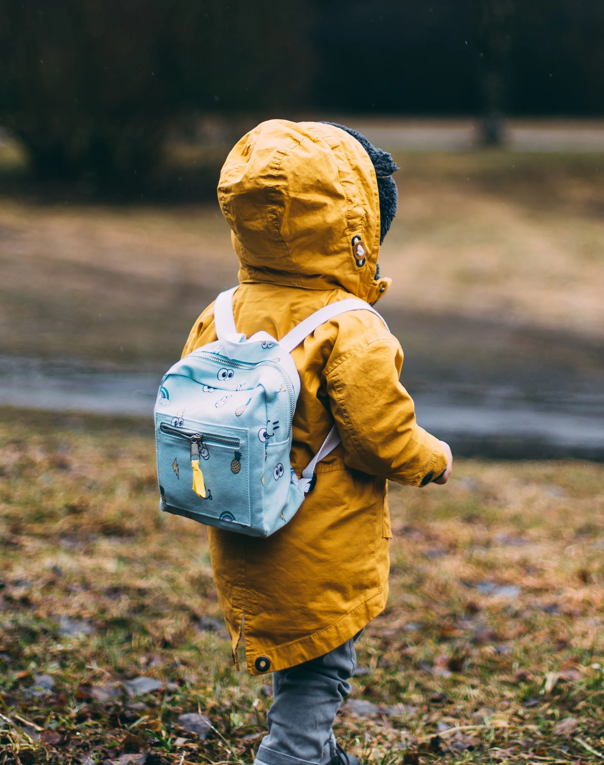 daiga-ellaby-JZ51o_-UOY8-unsplash cropped.jpg