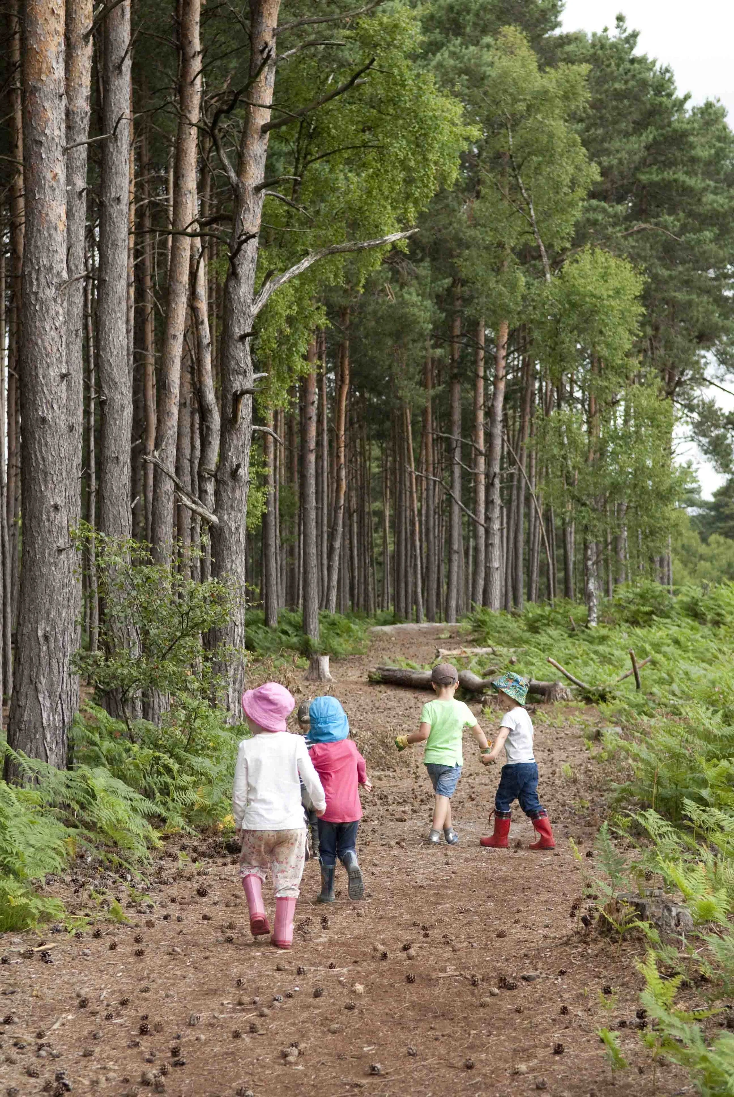 Avon Heath (110 of 411).jpg