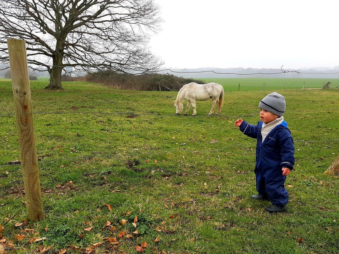 This week the children have been exploring their natural surroundings in the big wide world! They even spotted some horses to say hello to! 👋🐴

#kidslovenature #exploringnaturewithchildren #getoutside #localwildlife #lymington #southbaddesley #join