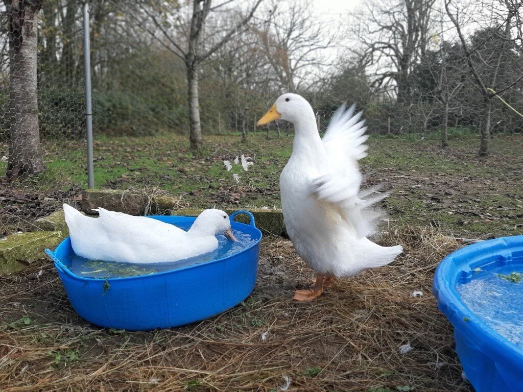 Kindergarten Administrator - Marwell Zoo