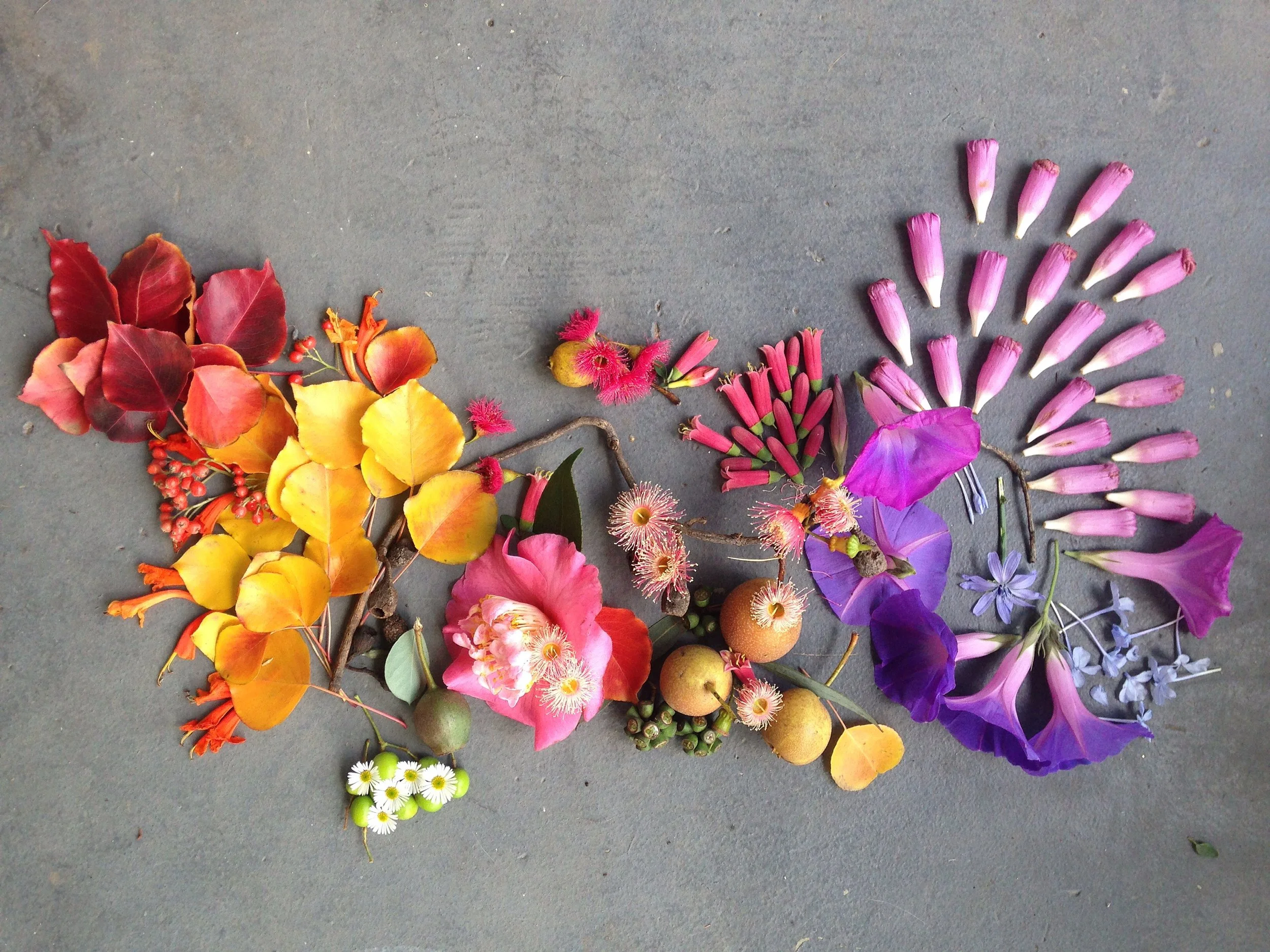 Nature Sculpture12.jpeg