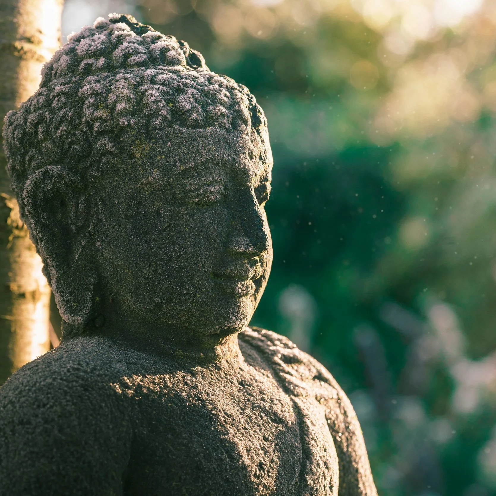 unsplash-image-_Wi5bi-yjXI.jpg