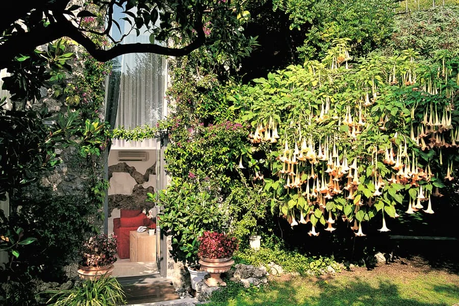 Hotel Santa Caterina's botanic gardens