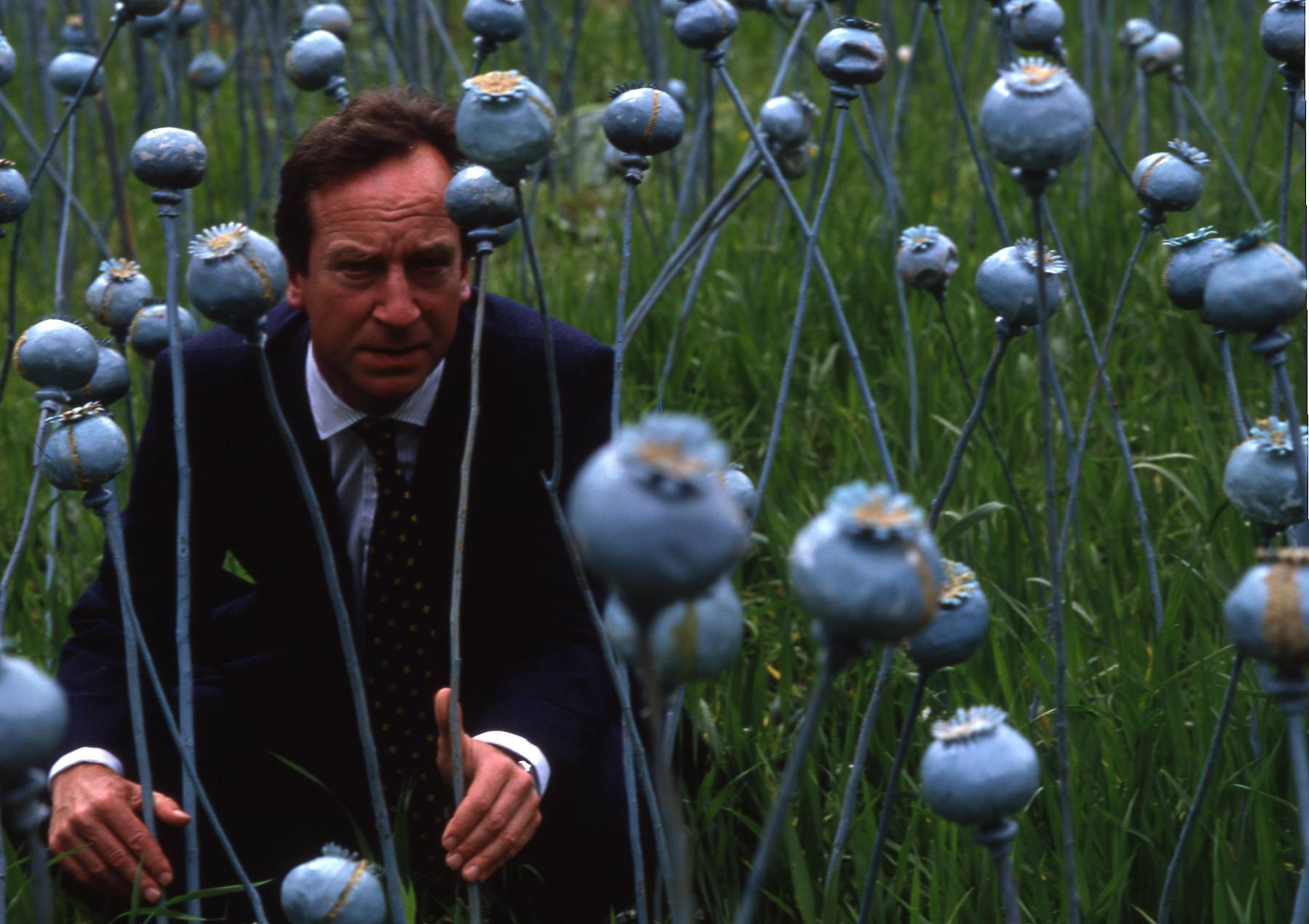 Bill Paterson in poppy field.jpg