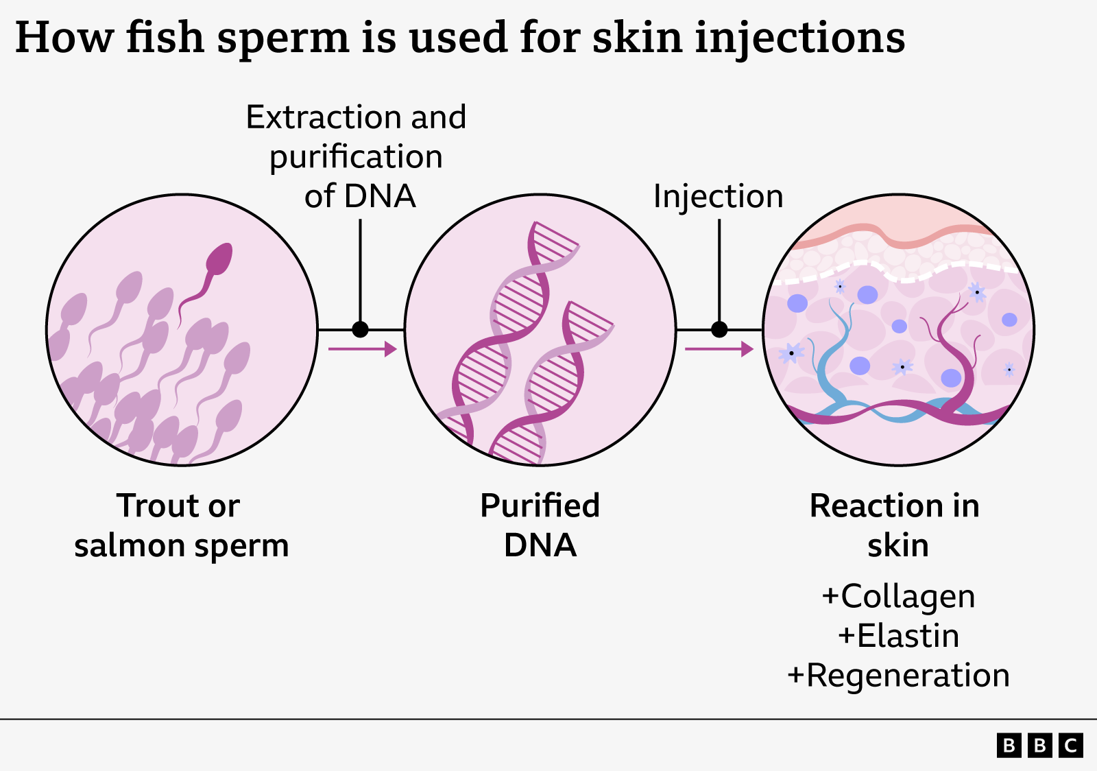 salmon-sperm-dna-800@2x.png