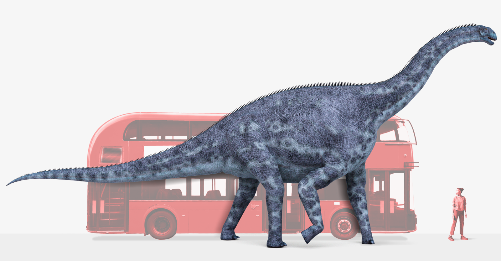 cetiosaurus-5-lady-scaled-800@2x.png