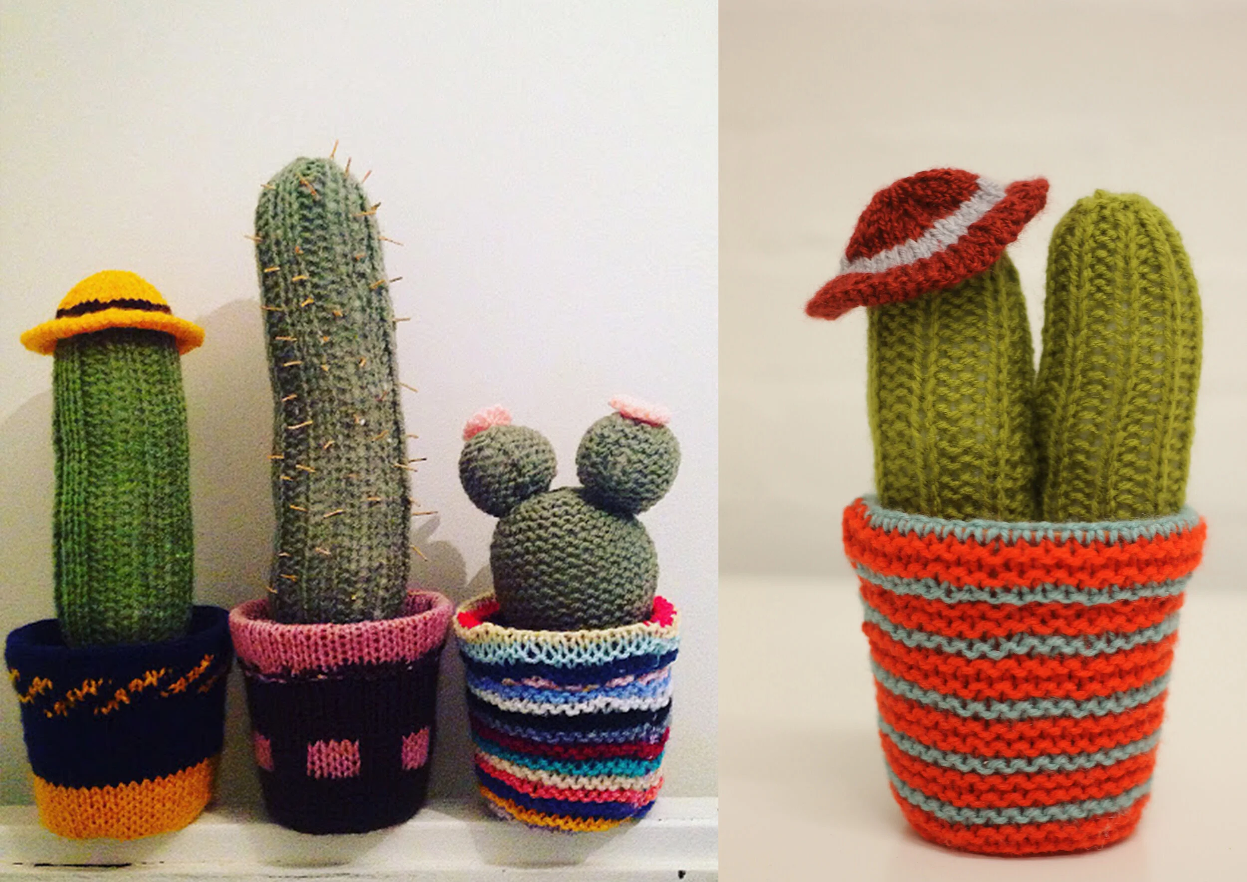 cacti3.jpg