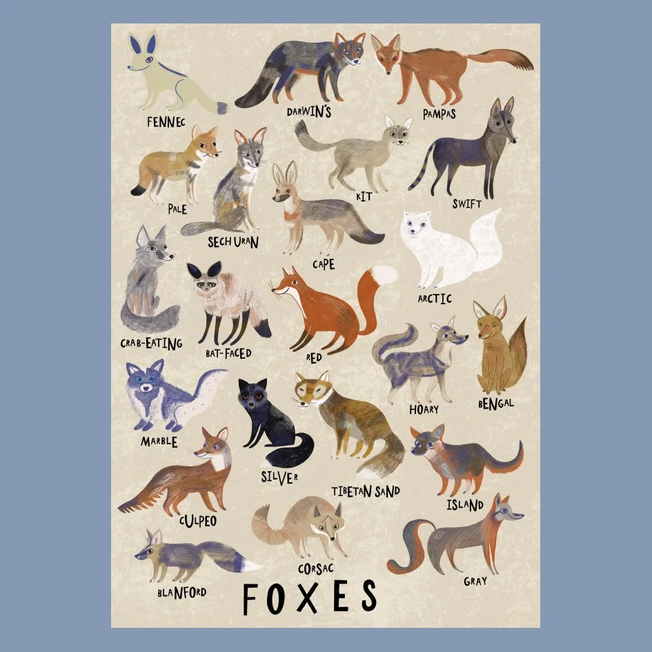 FOXES.jpg