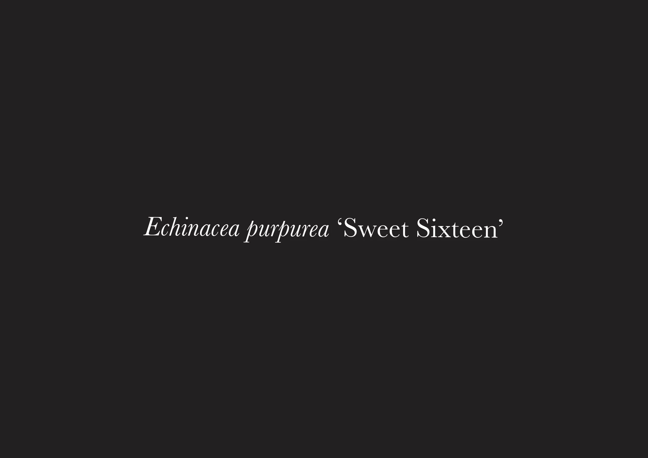 sweet six Taxonomie Sex.jpg