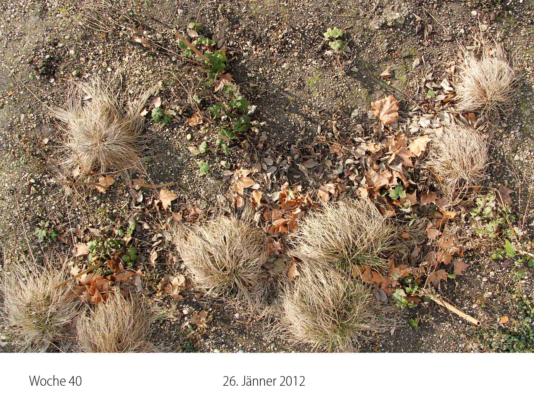 Anita Woche 40_2048m.jpg