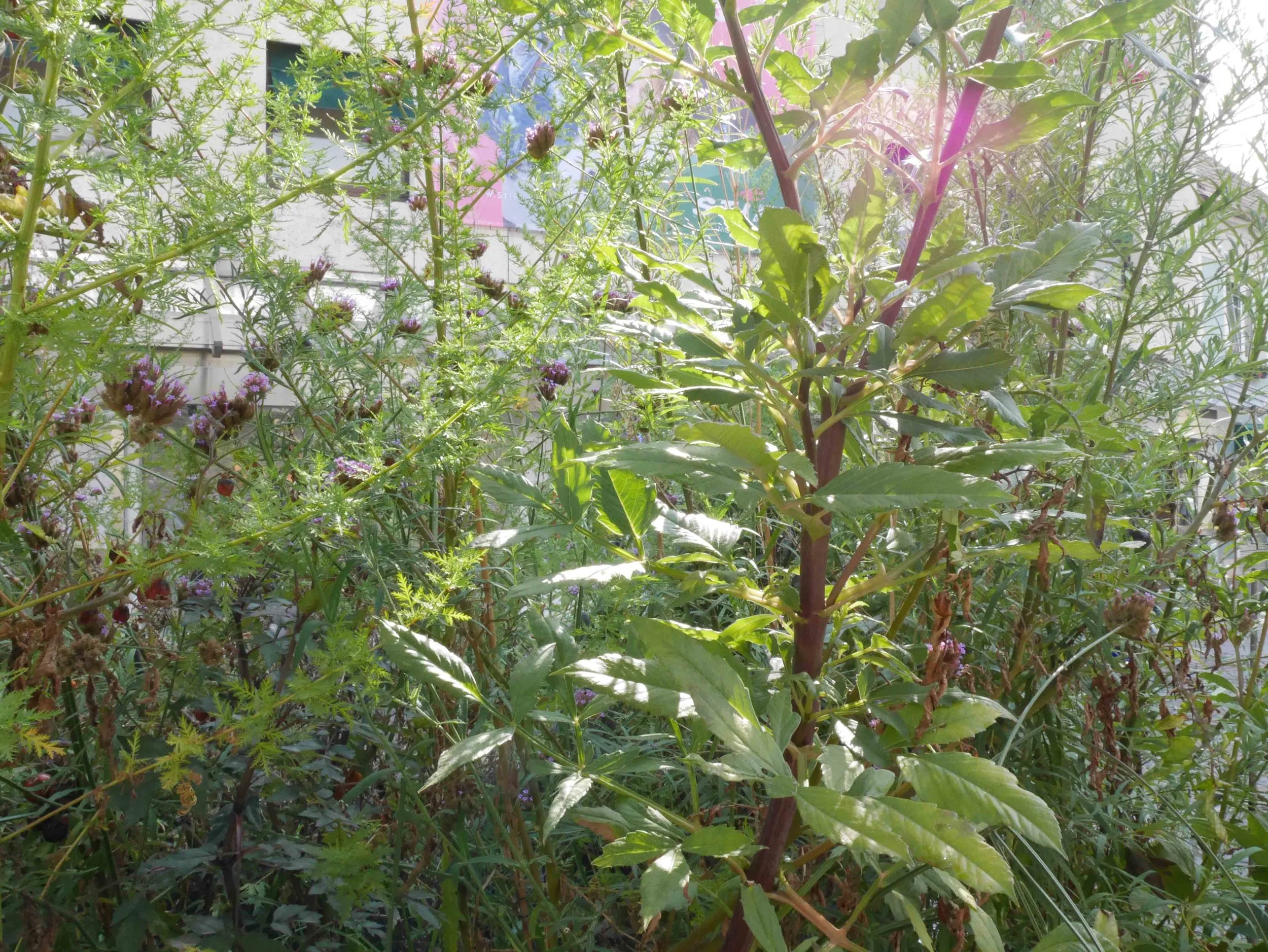 P2250463m.jpg