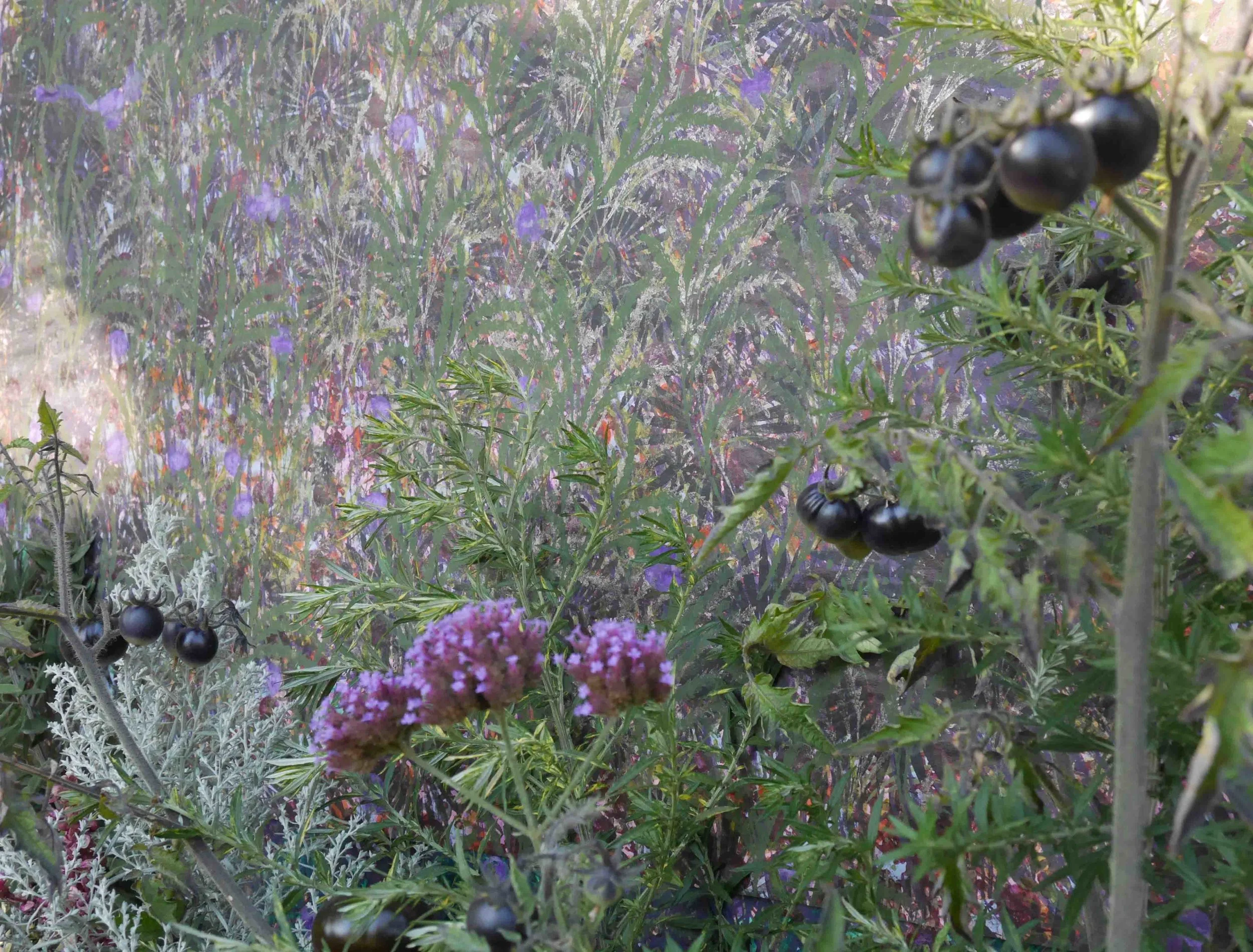 P2210944m.jpg
