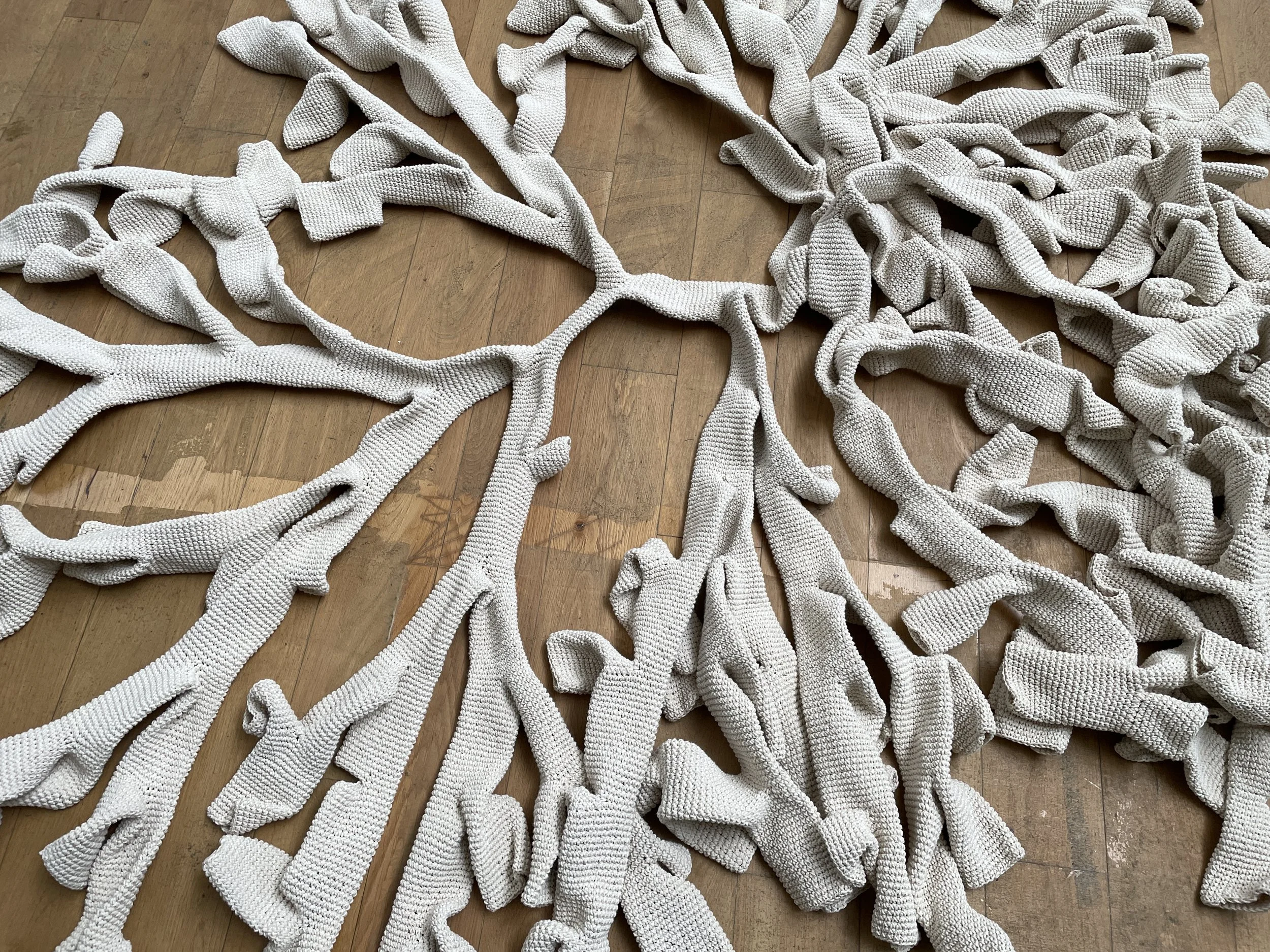 Studio Notes #2: How to Become a Tree