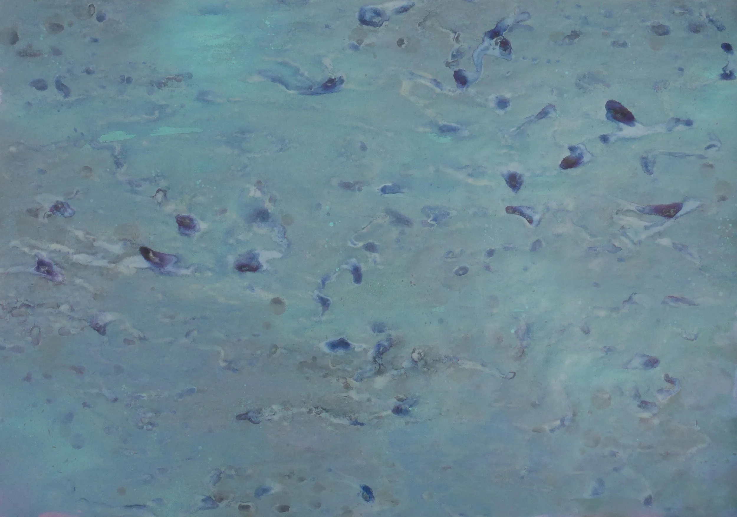 Oceanic Fields - Fine Art Prints on Paper