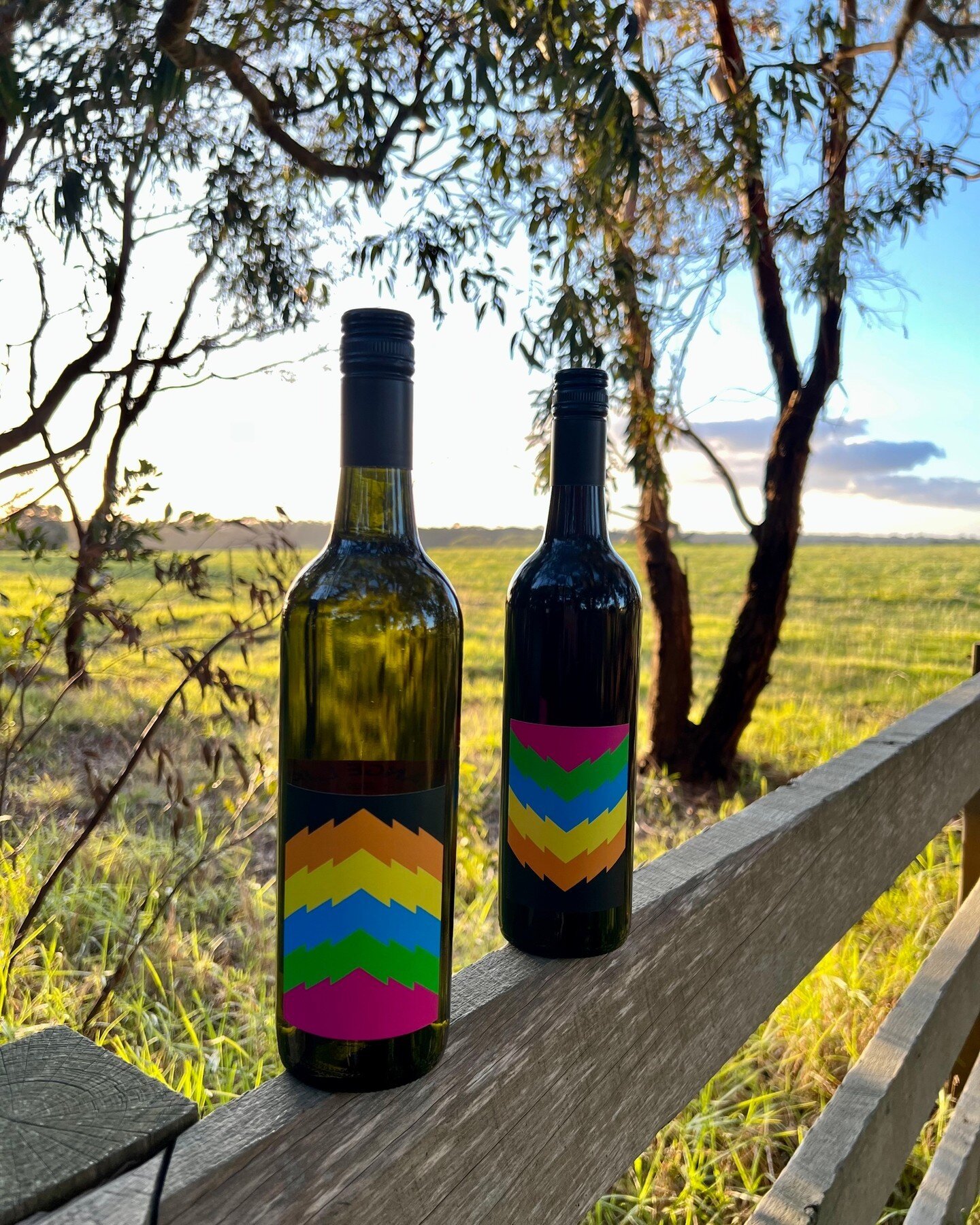 Bring on the weekend!

Oh have you tried our next wines yet? Our Fiano and Rosso? Thoughts? 

#rangelifewine #funwine #victorianwine #winelover #winetime #wine #everyoccation #italiangrape #instawine #winelife #newwine #fiano #rosso #weekend
