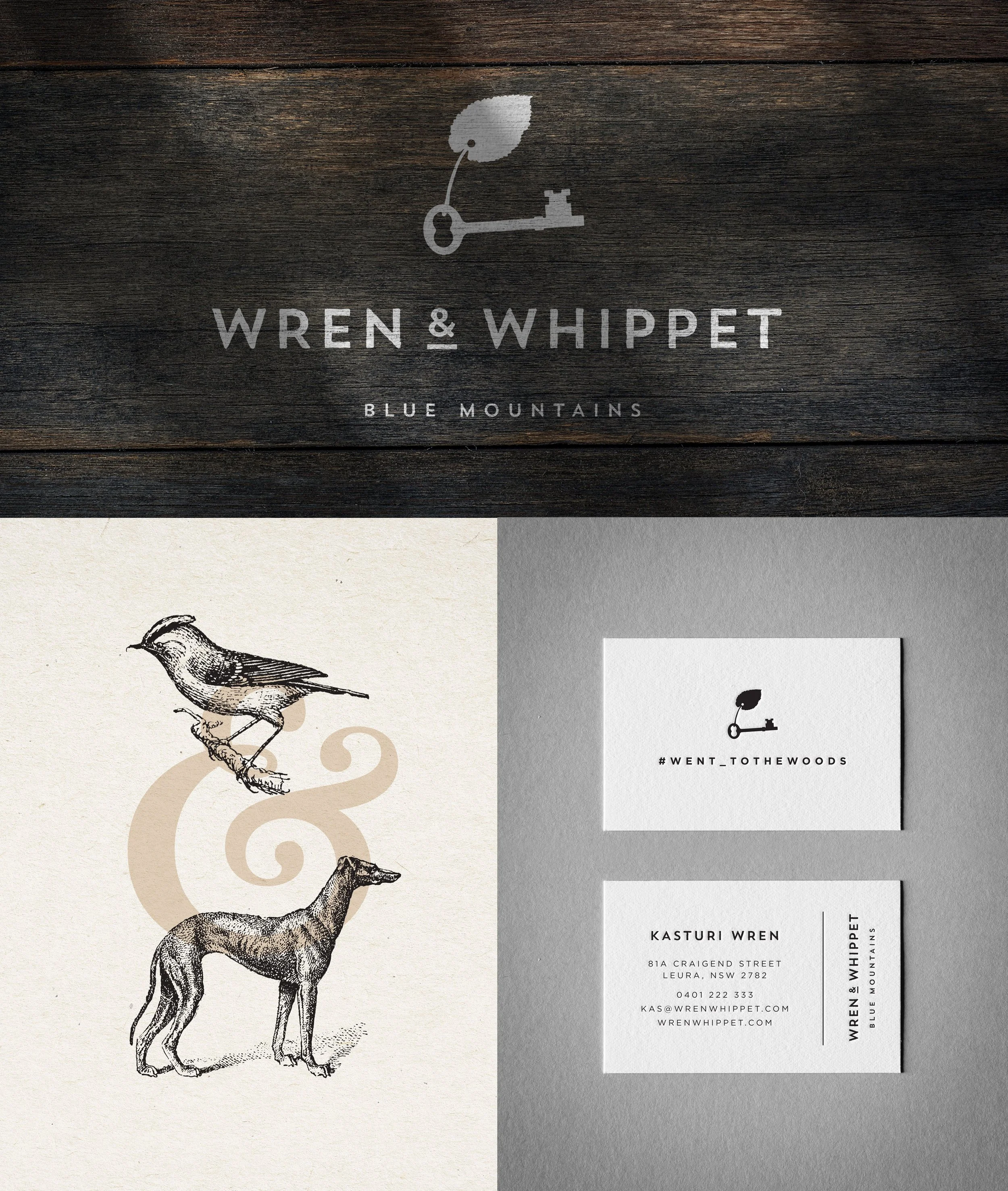 Wren_Whippet_v1.jpg