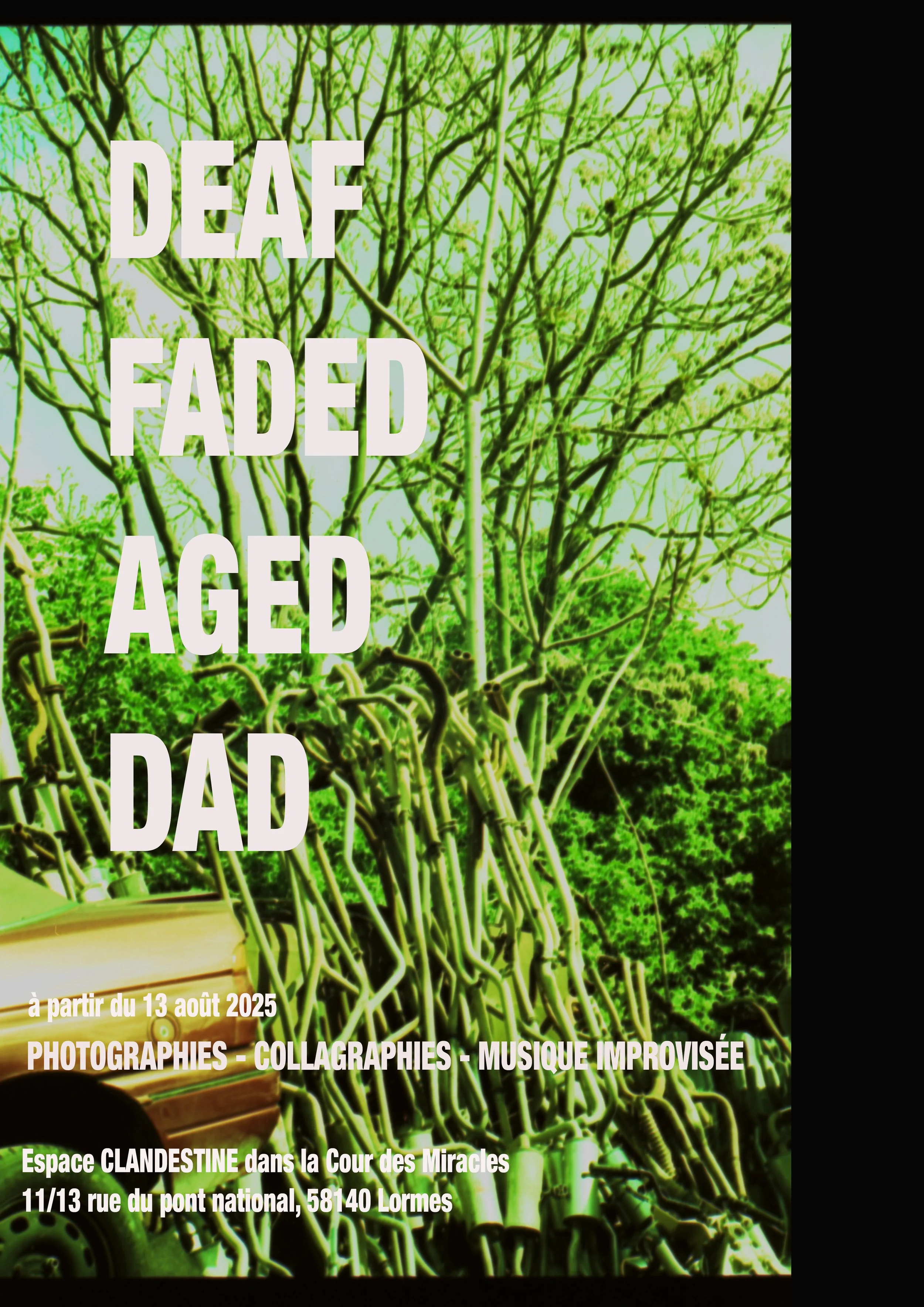 Affiche 2 CABBAGE FACE.jpg