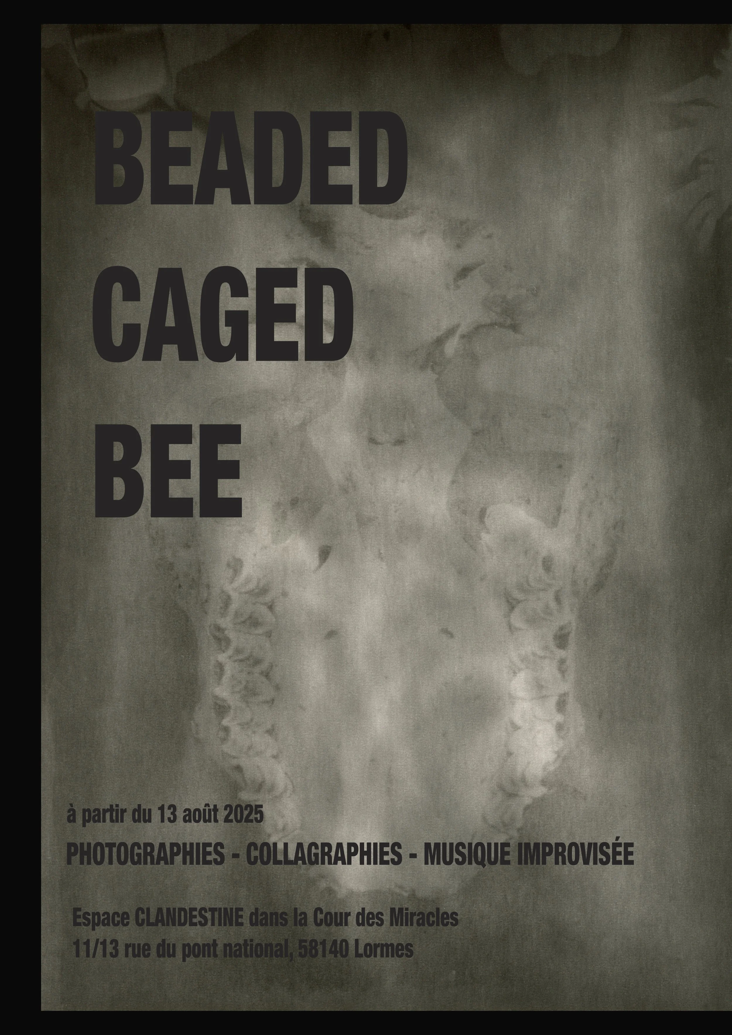 Affiche 3 CABBAGE FACE.jpg