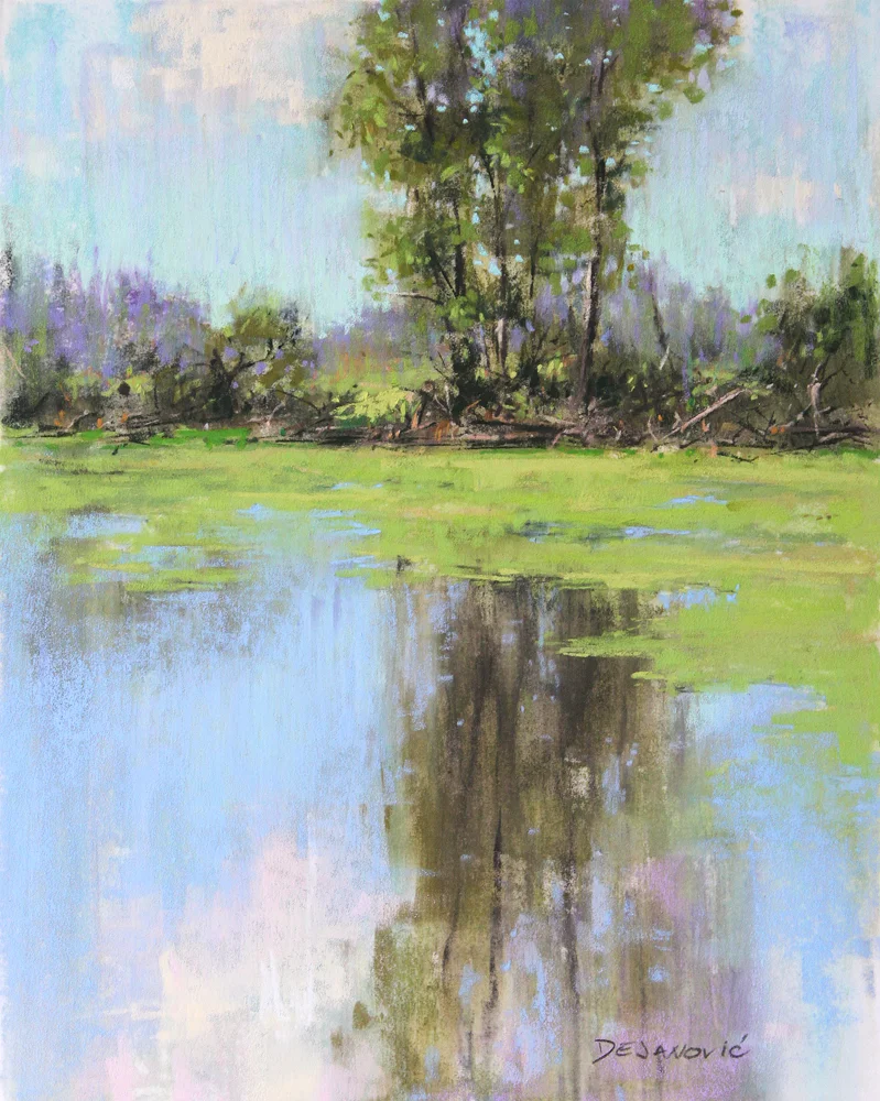 Summer's Reflection
