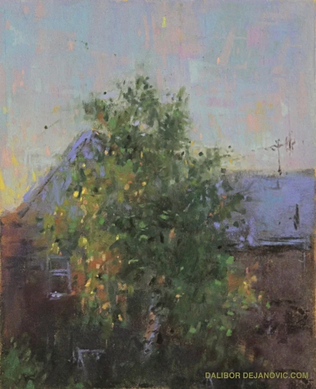 Sunlit.jpg