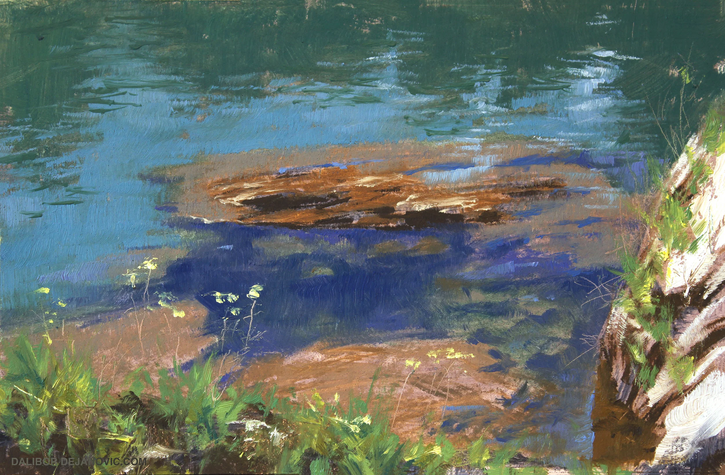 Vrbas river II