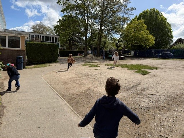 image1.jpeg