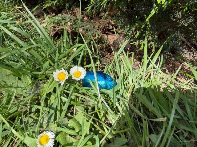 image2.jpeg