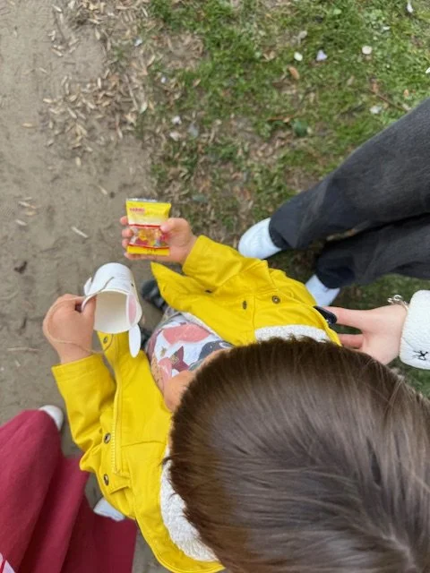 image5.jpeg