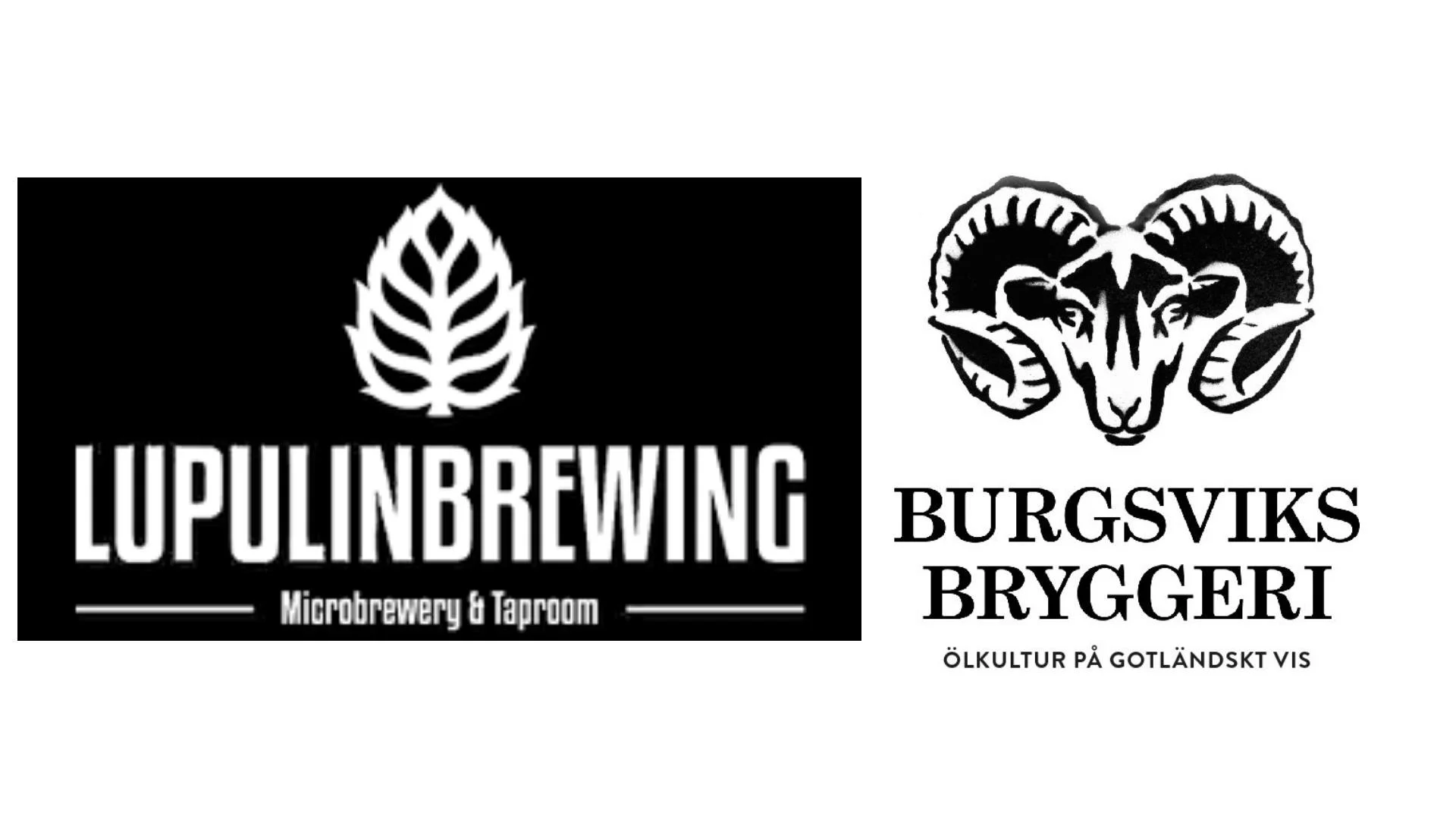 Lupulin Brewing & Burgsviks Bryggeri Christmas Ale Release