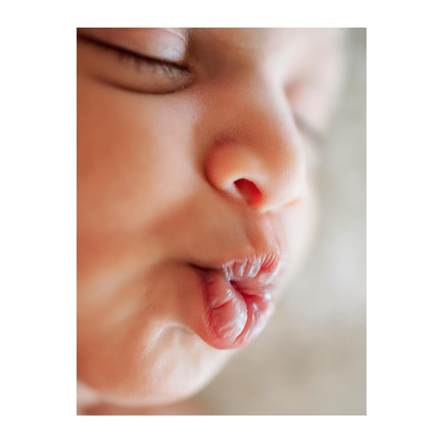 😘😘
.
.
.
.
.
#newbornkisses #babykisses #puckerup #newbornphotography #newbornmacrophotography #macronewborn #macrophotography