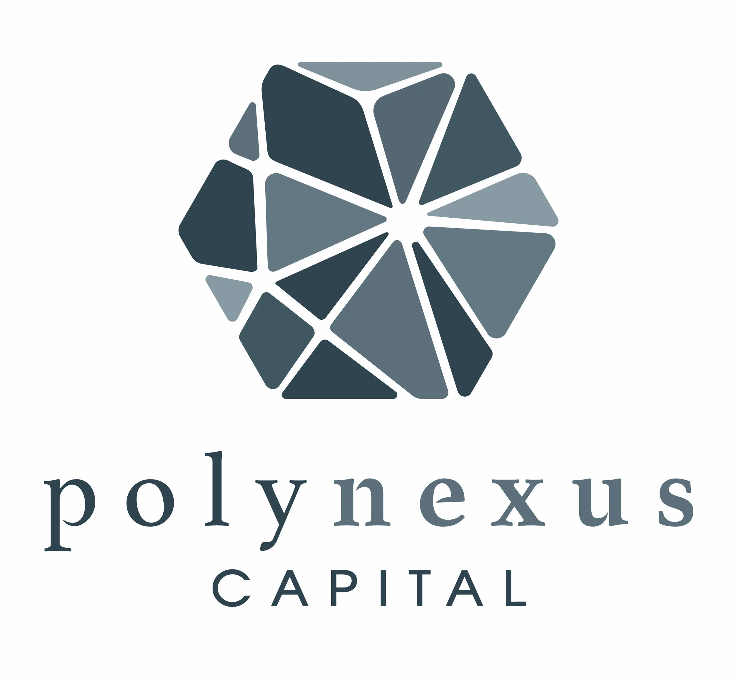 Polynexus_FNL-01.jpg