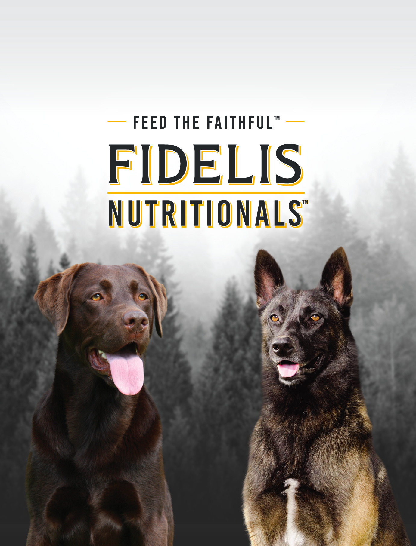 Graphics_Fidelis-10.png