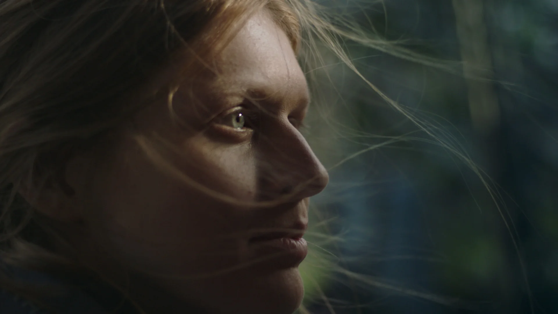 headervimeo2.jpg