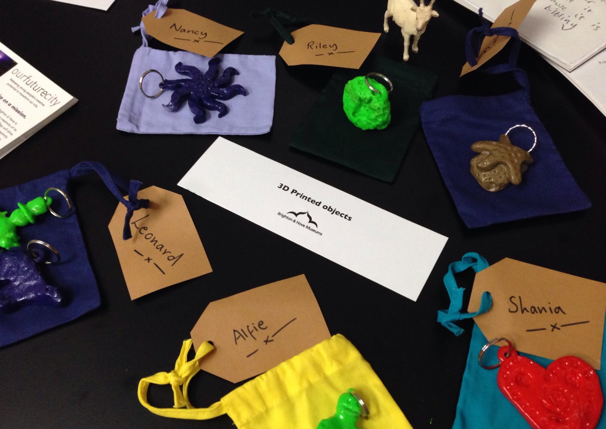 Our Future City BeWell project with Varndean School - 'Transitions'