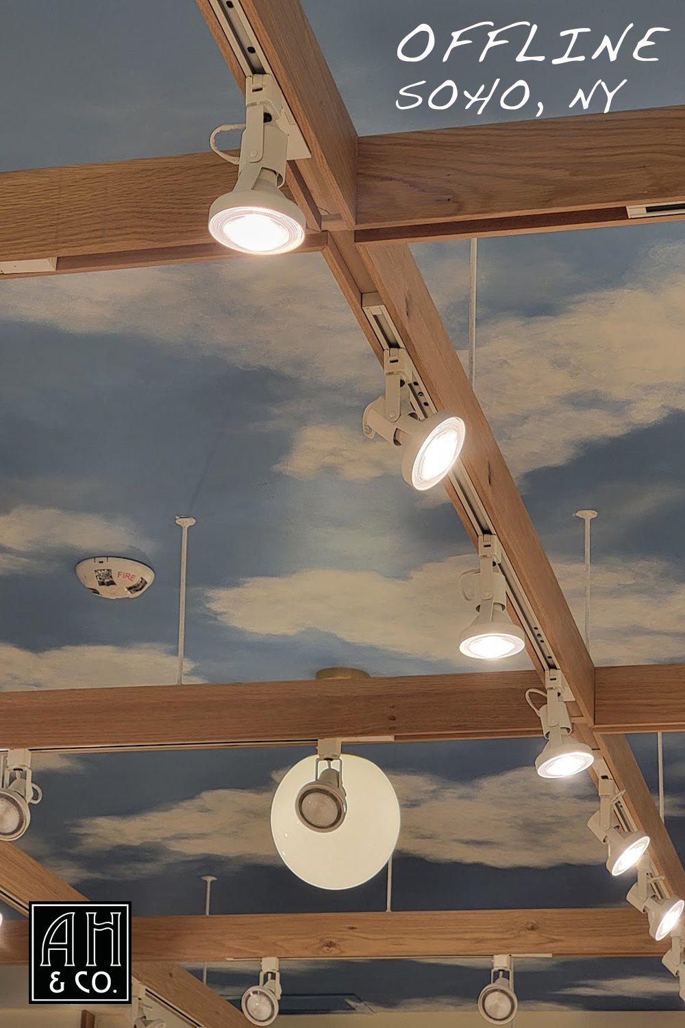 ariana-hoffman-paint-american-eagle-jean-soho-SKY-CLOUD-CEILING-patina-old-historical-retail-design-commercial-decor-unique.jpg