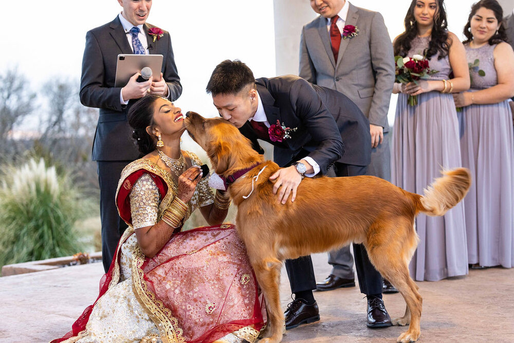 cute-dog-wedding-golden-retriever.jpeg