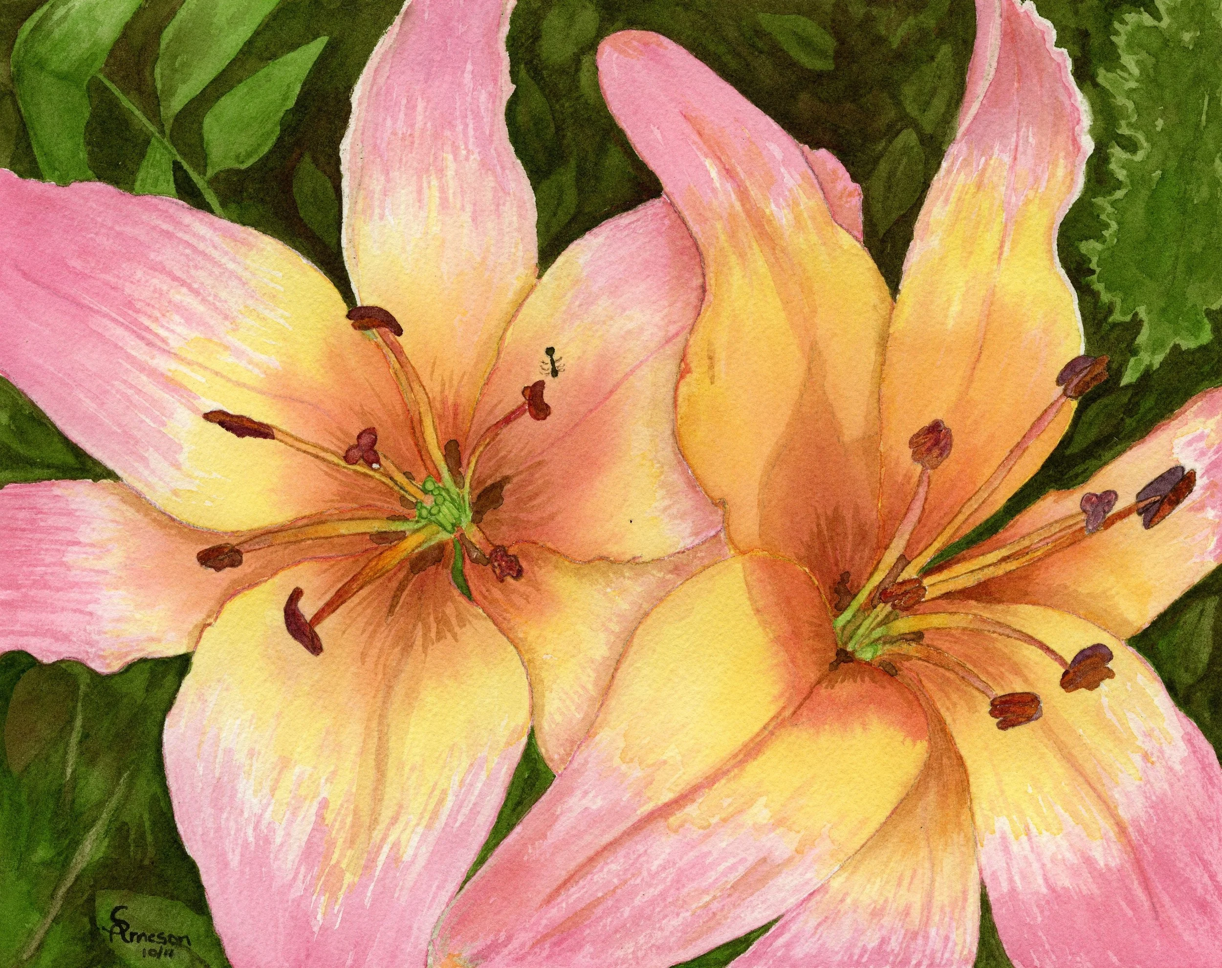 Deb's Lily - Copy.jpg