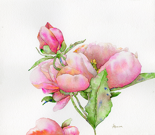 Pretty in Pink.png