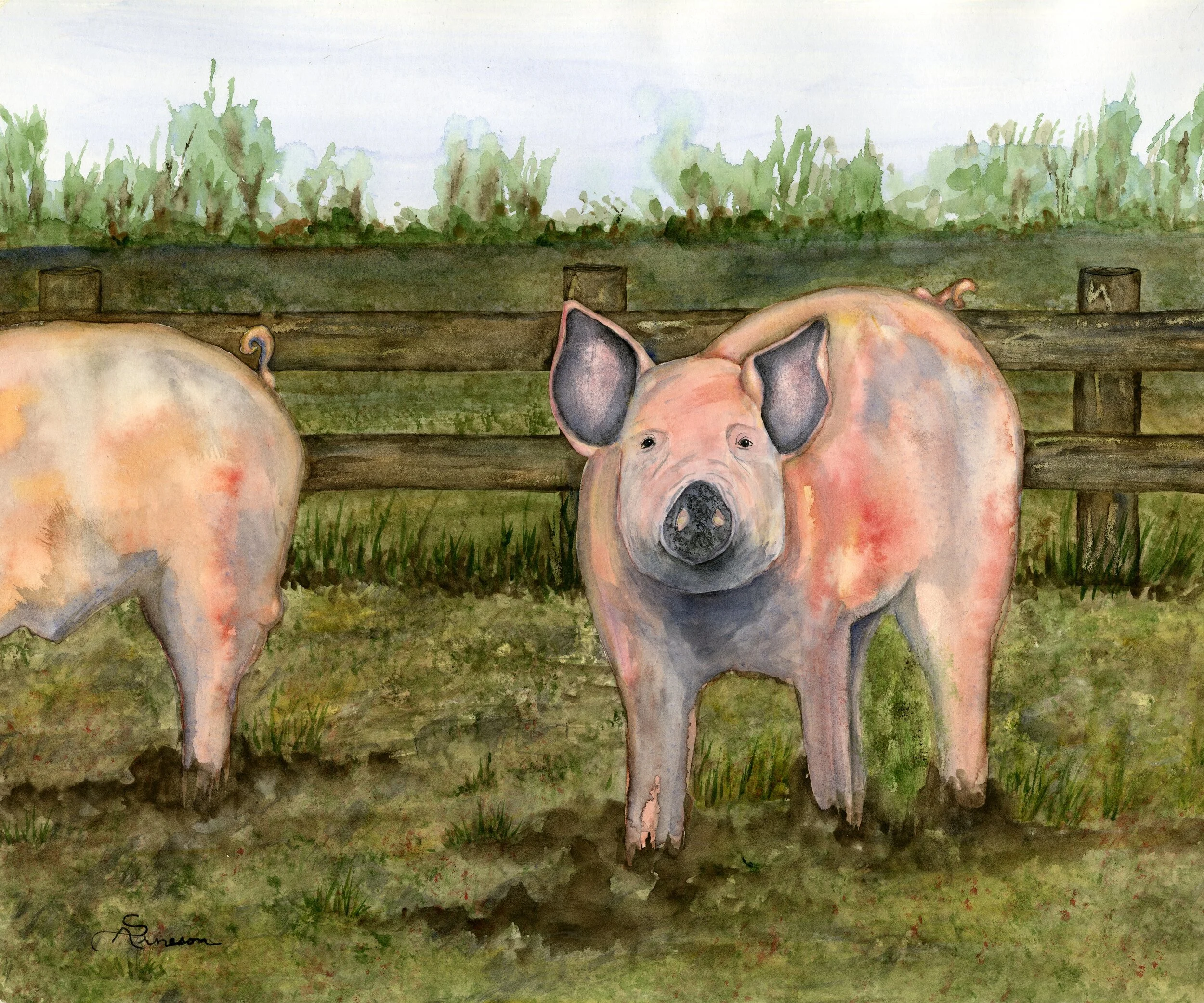 Pork Chop.jpg