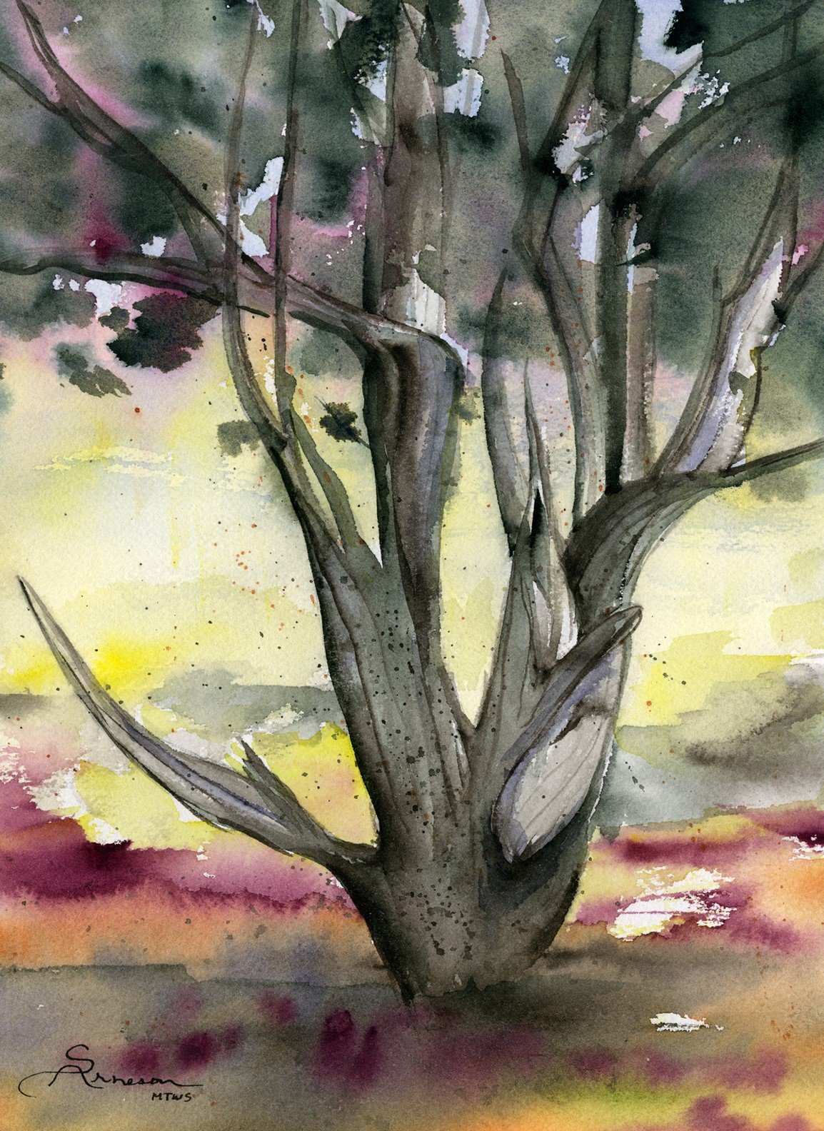 Lone Juniper test.jpg
