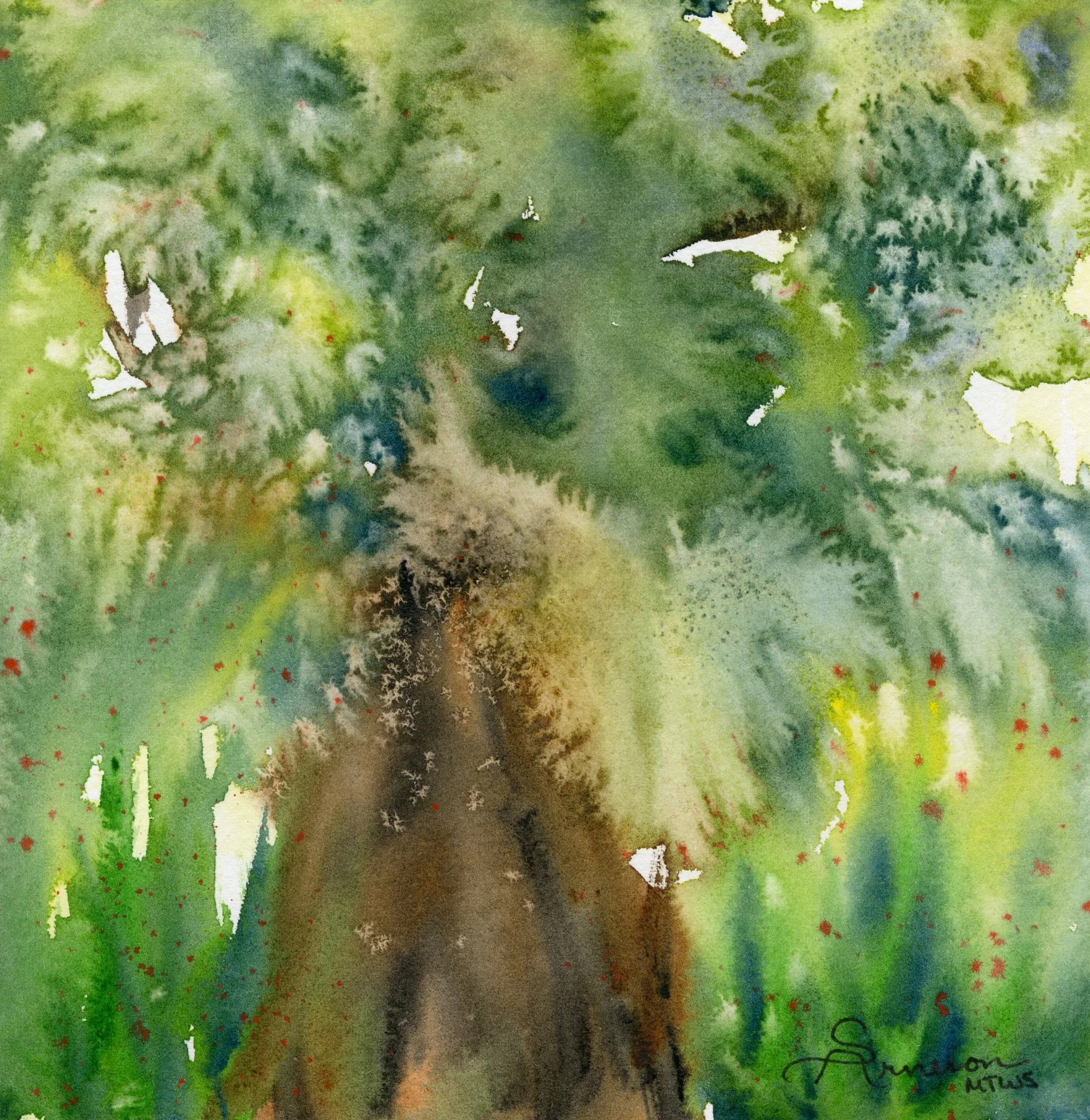 Salted+Tree.jpg