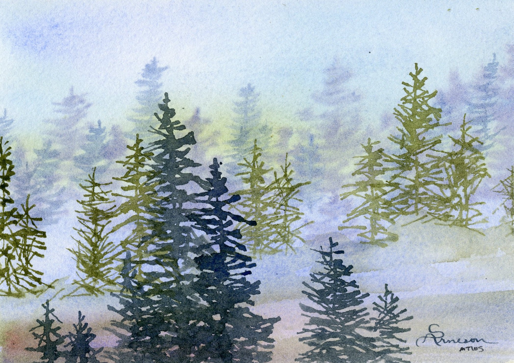 Winter+Pines.jpg