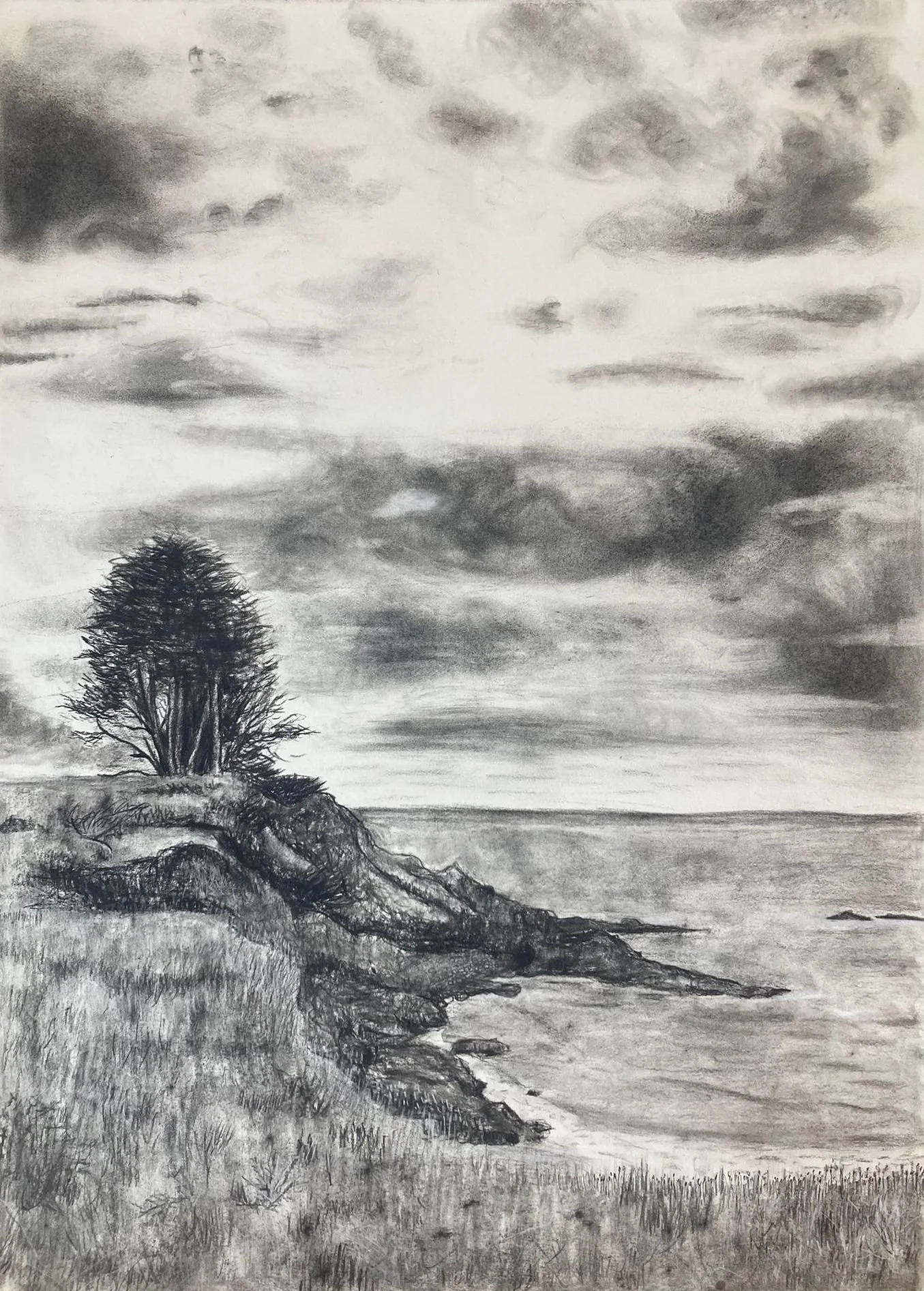 Mendocino Cypress - SOLD